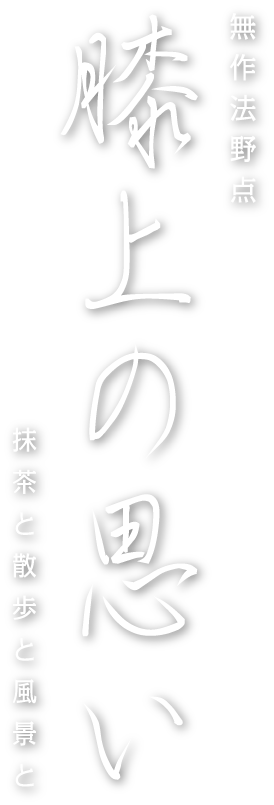 無作法野点　膝上の思い　抹茶と散歩と風景と